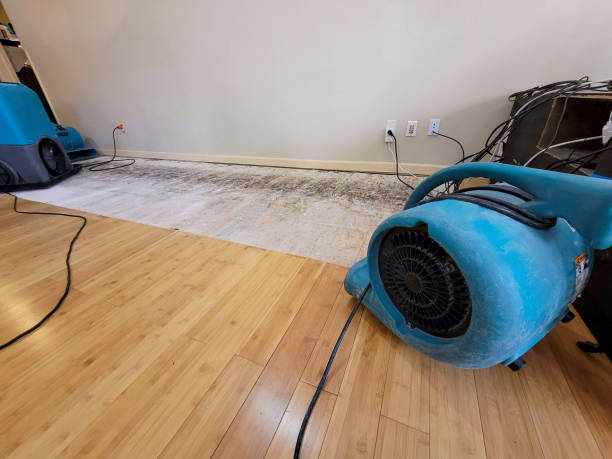 Professional Burst Pipe Water Damage technician working in Bristol, IN